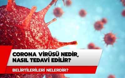Corana Virüs Nedir ?