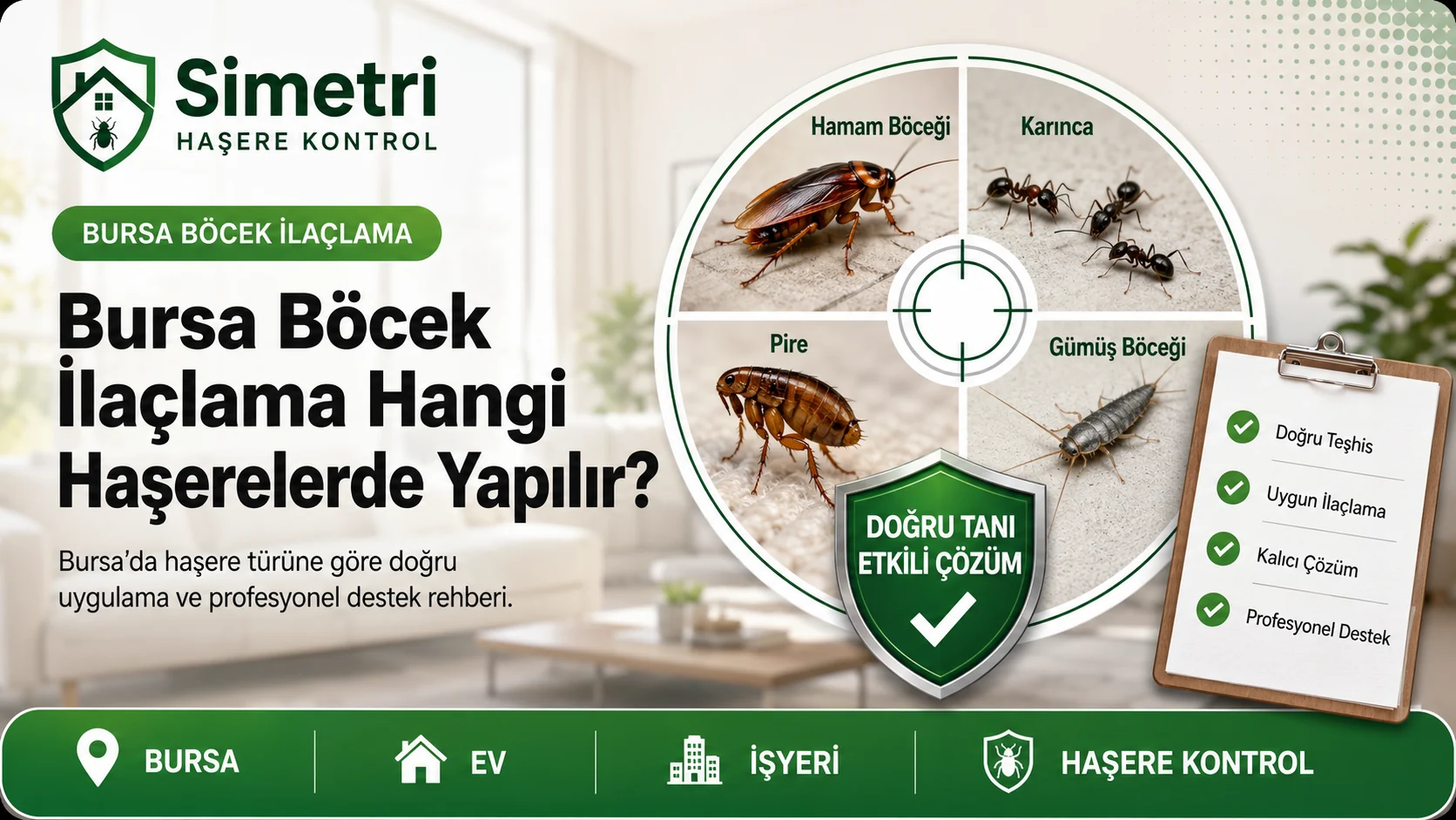 Bursa böcek ilaçlama hangi haşerelerde yapılır