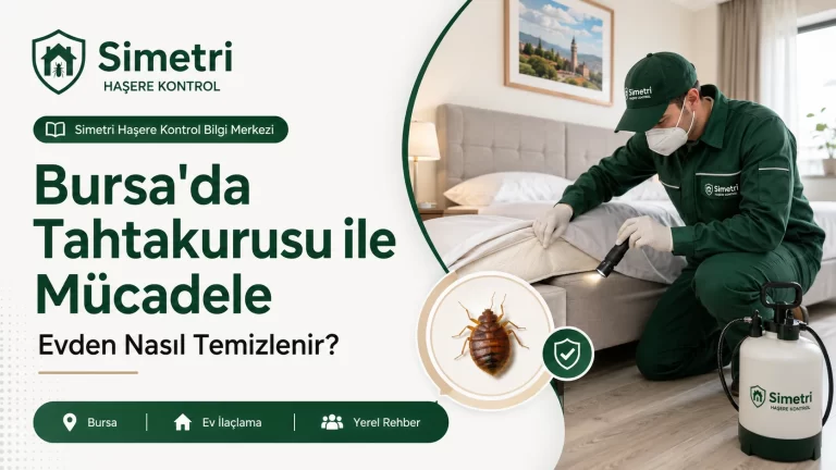 Bursa’da Tahtakurusu ile Mücadele: Evden Nasıl Temizlenir?