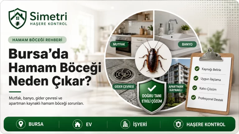 Bursa’da Hamam Böceği Neden Çıkar?
