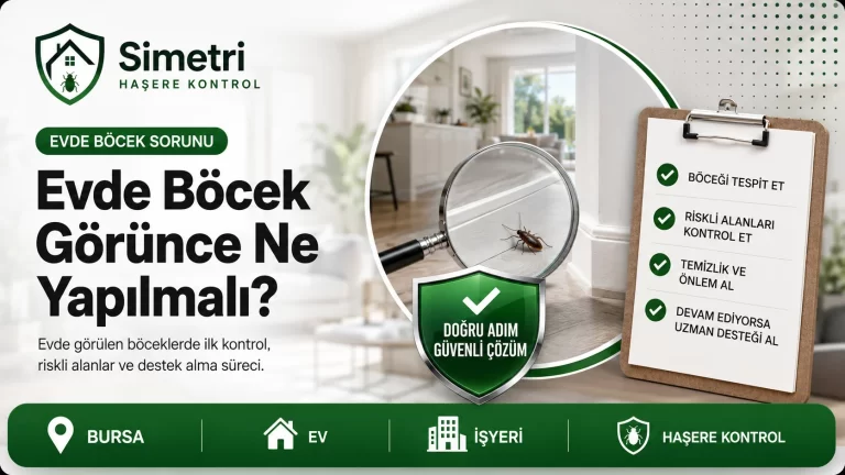 Evde Böcek Görünce Ne Yapmalıyız? İlk Kontrol ve Çözüm Rehberi