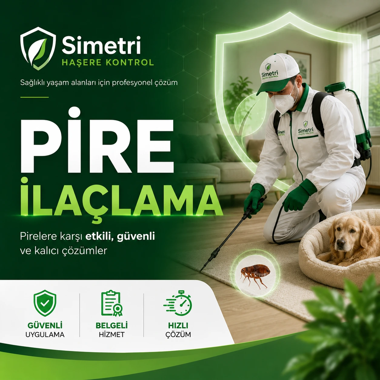 Bursa pire ilaçlama hizmeti - ev ve yaşam alanı uygulaması