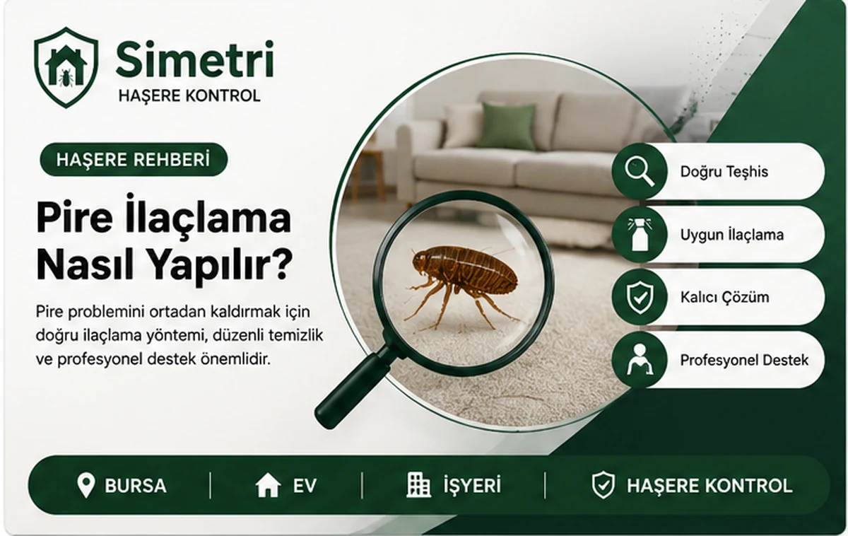 Pire ilaçlama nasıl yapılır Bursa rehberi